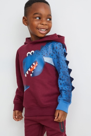 C&A Multipack Of 2 Dinosaur And Long Sleeve Tytön Huppari Viininpunainen | 07MIYEQNK