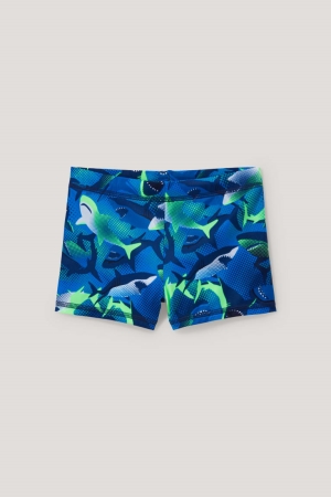 C&A Swim Lycra® Xtra Life™ Poikien Uimapuvut Sininen | 95UDFJBZS